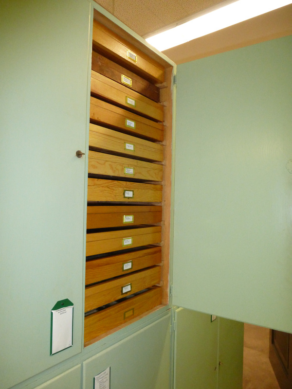 Old specimen drawers