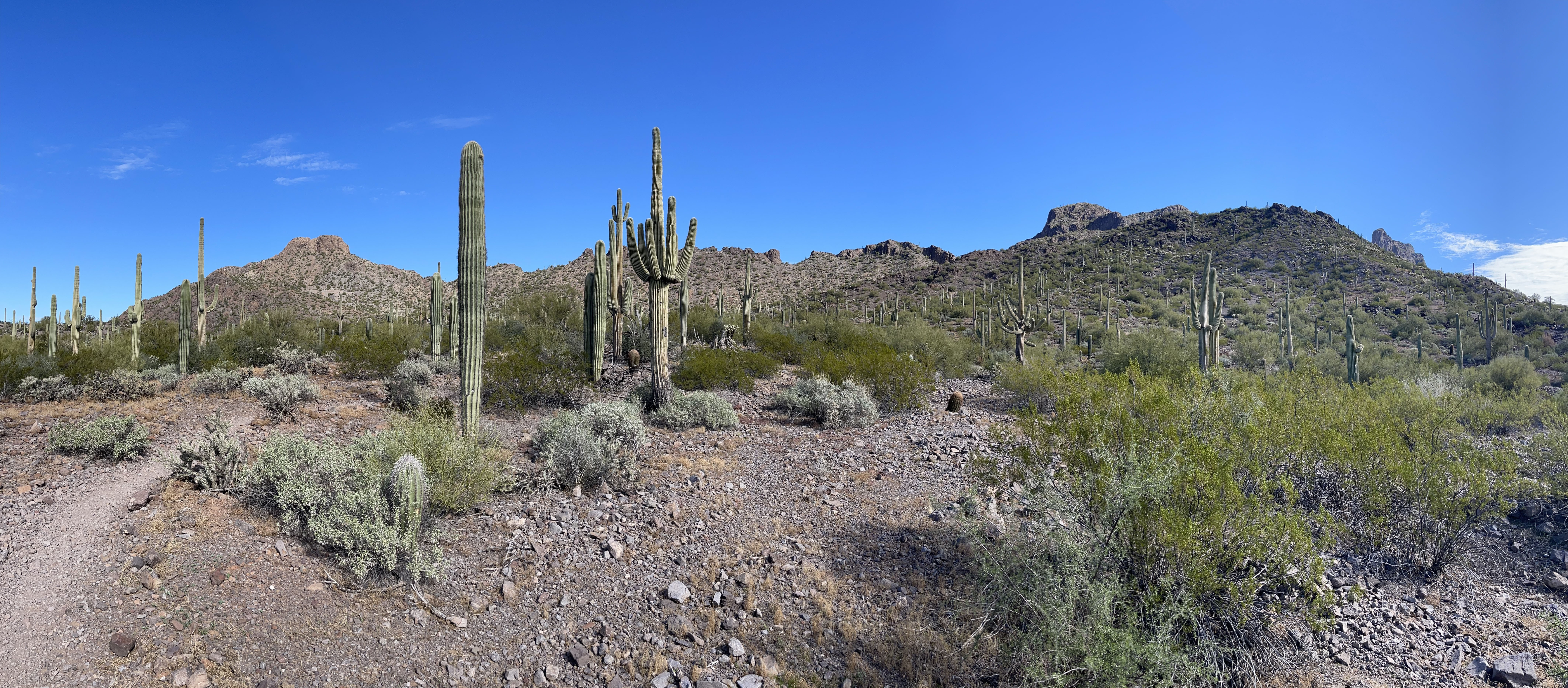 Pichacho Peak State Park