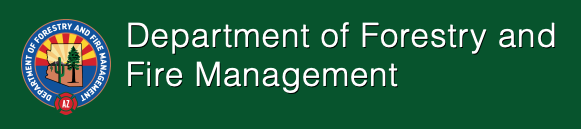 Arizona Department of Forestry and Fire Management